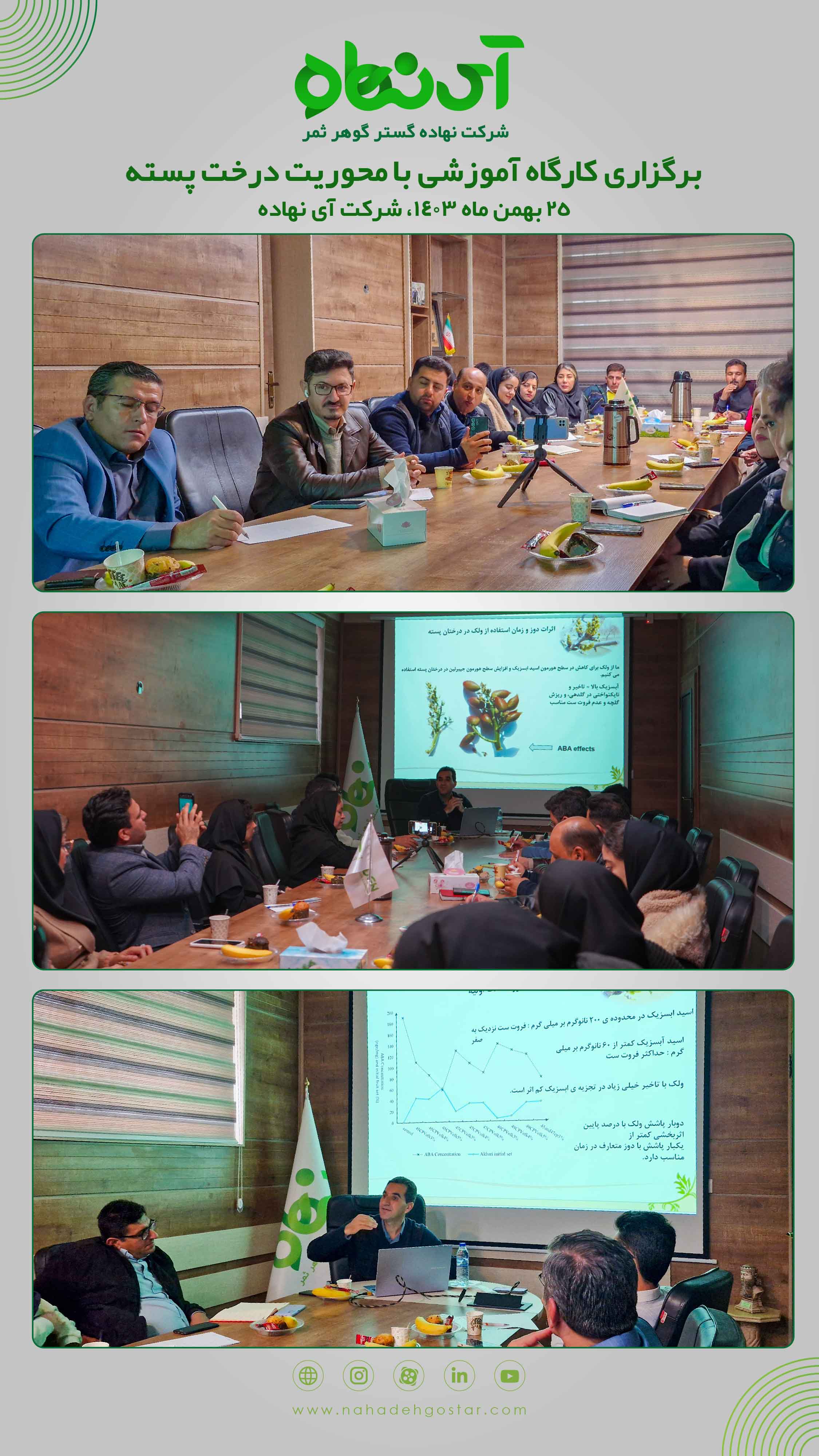 کارگاه آموزشی با محوریت درخت پسته 